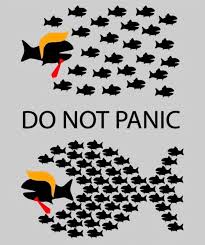 do not panic organize