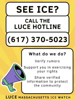 Flyer: See ICE? Call the LUCE hotline 6173705043