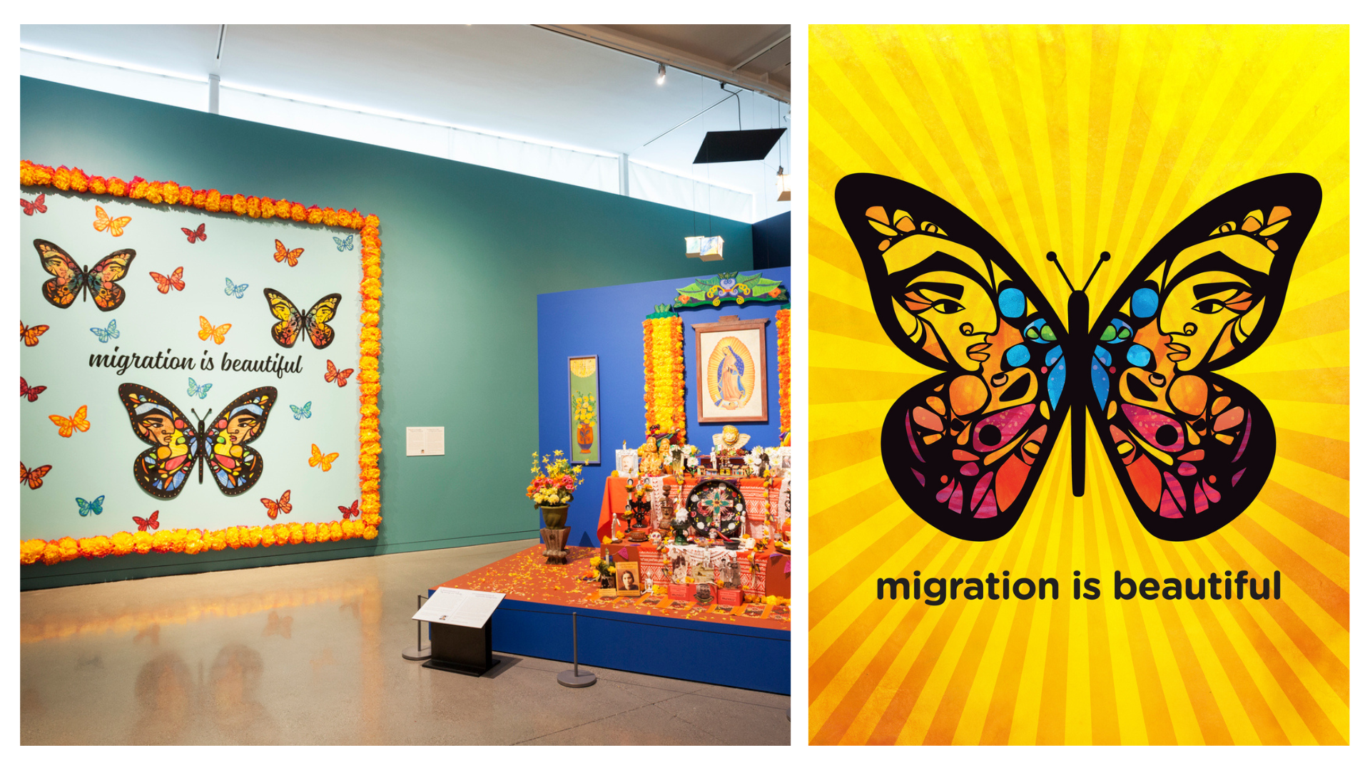 migration is beautiful